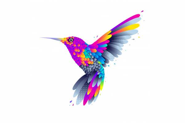 اسامی پرندگان به انگلیسی Birds Names in English