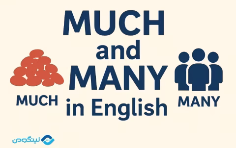 Many Much in English Grammar - تفاوت Much و Many و کاربردهای آن ها با مثال